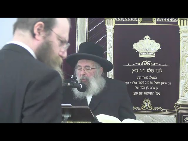שאלות נחוצות בהלכות פסח  - ר' גבריאל ציננער שליט"א