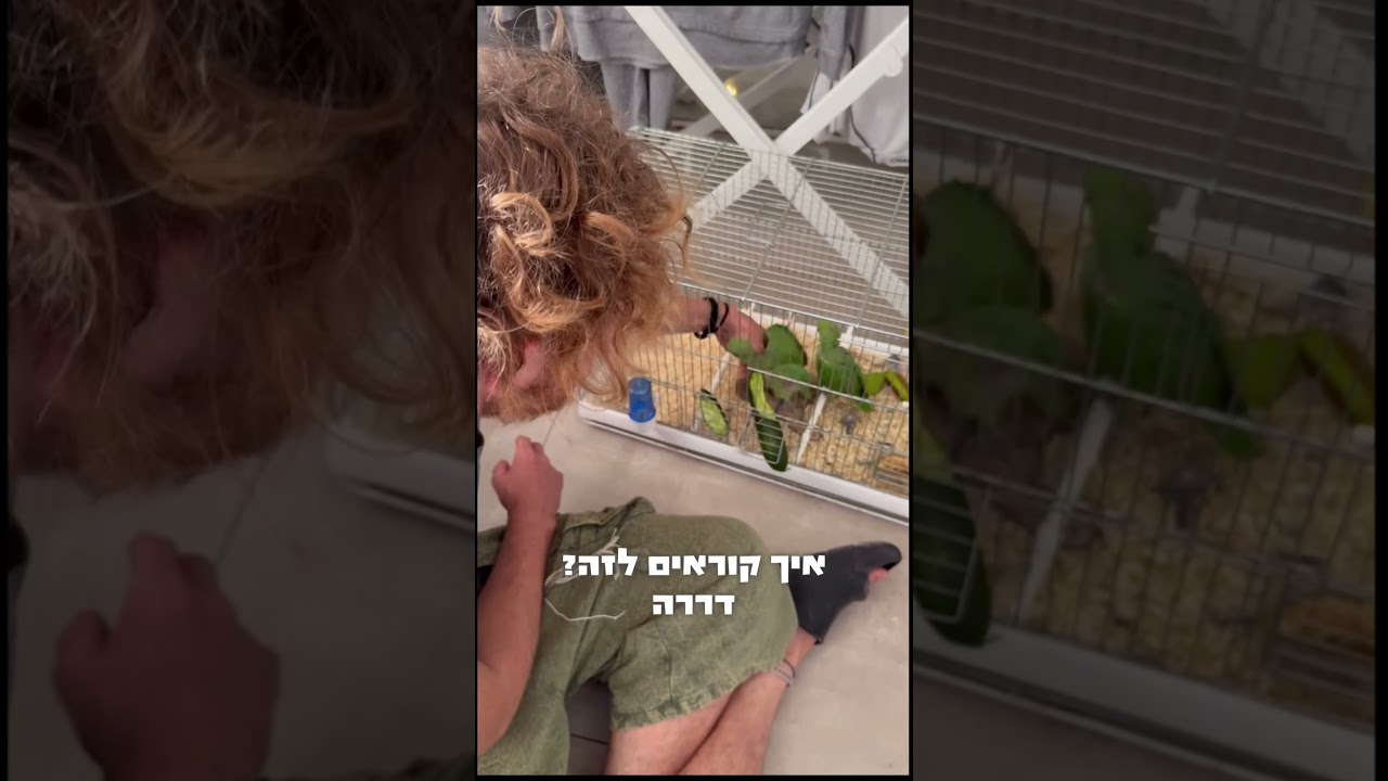 הייתם חיים ככה?