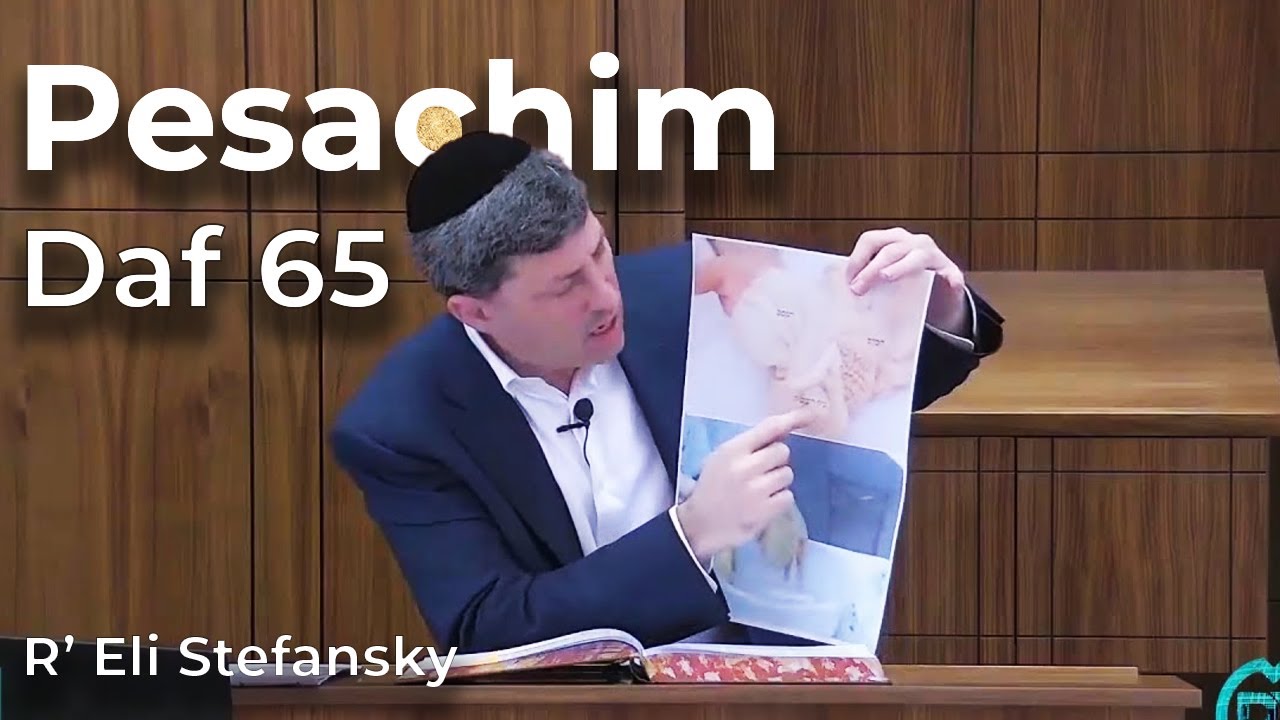 Daf Yomi Pesachim Daf 65 by R’ Eli Stefansky