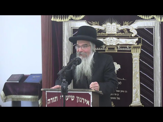 הלכות הנוגעות להכנת אייער צוויבל - ר' אברהם חיים שטיינווארצעל שליט"א