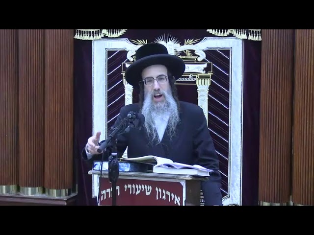 כתיבה כדיבור בהלכה - ר' שאול שמחה פרידמאן שליט"א
