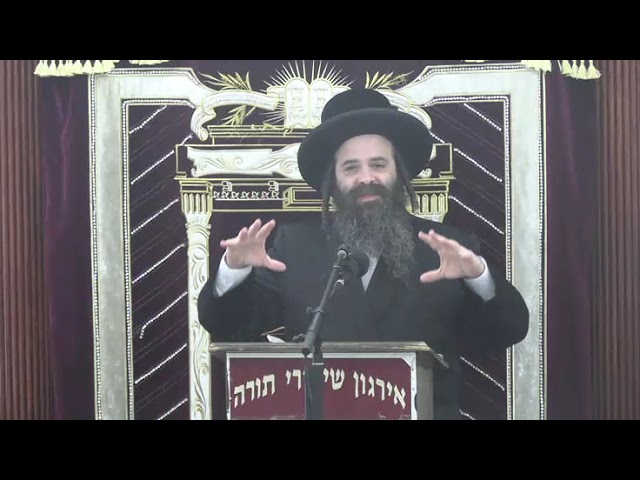 רפואה בהלכה - ר' זושא אויש שליט"א