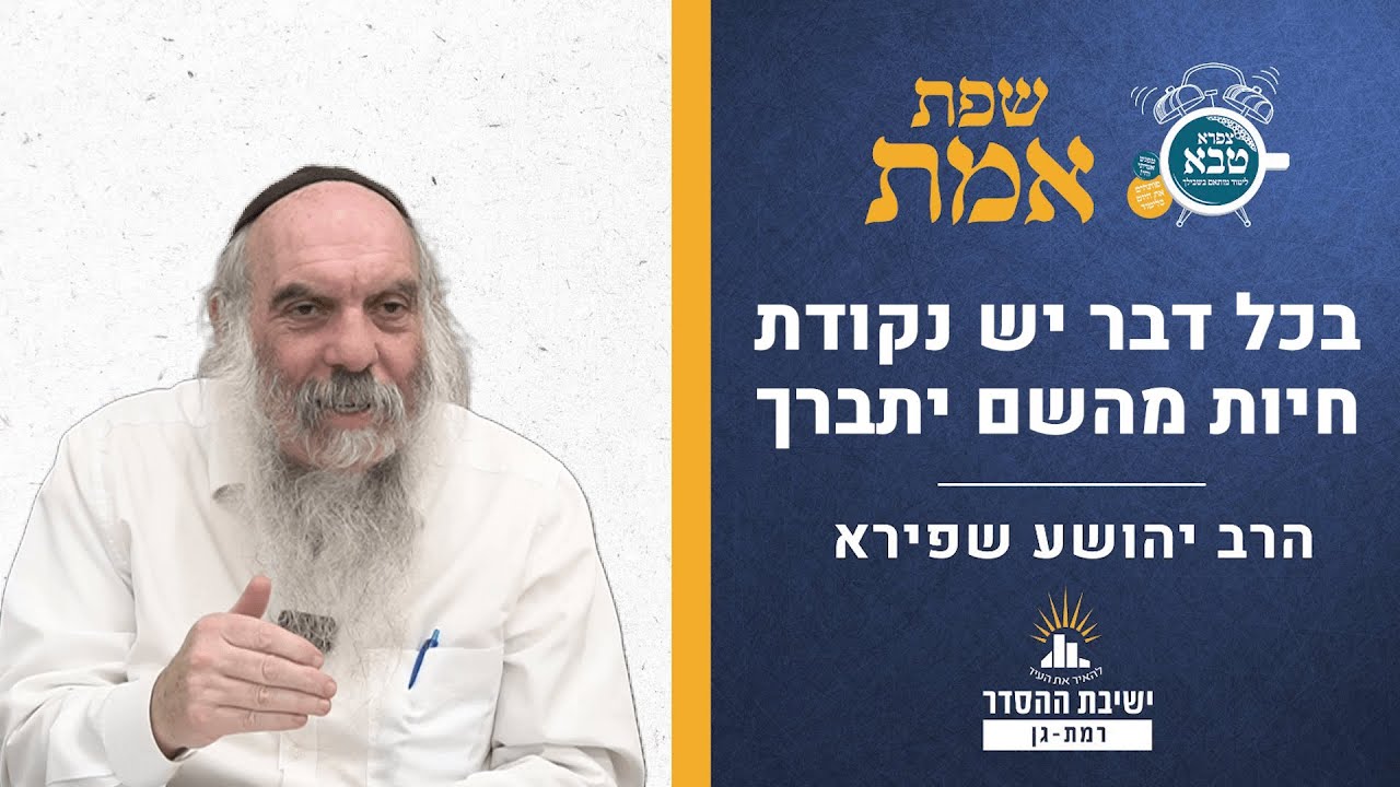 בכל דבר יש נקודת חיות מהשם יתברך | שפת אמת- כי תצא - שנה תרלא | הרב יהושע שפירא