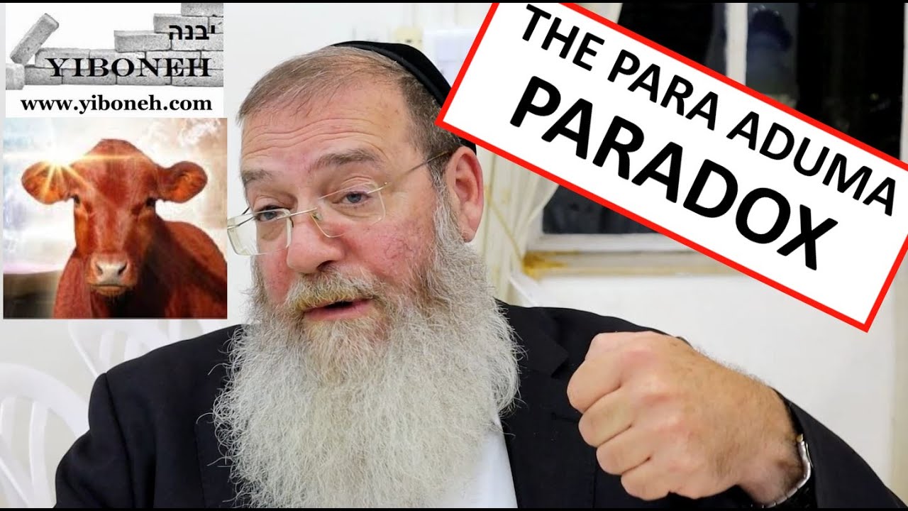 Rabbi Aaron Dovid Poston: The Para Para-DOX