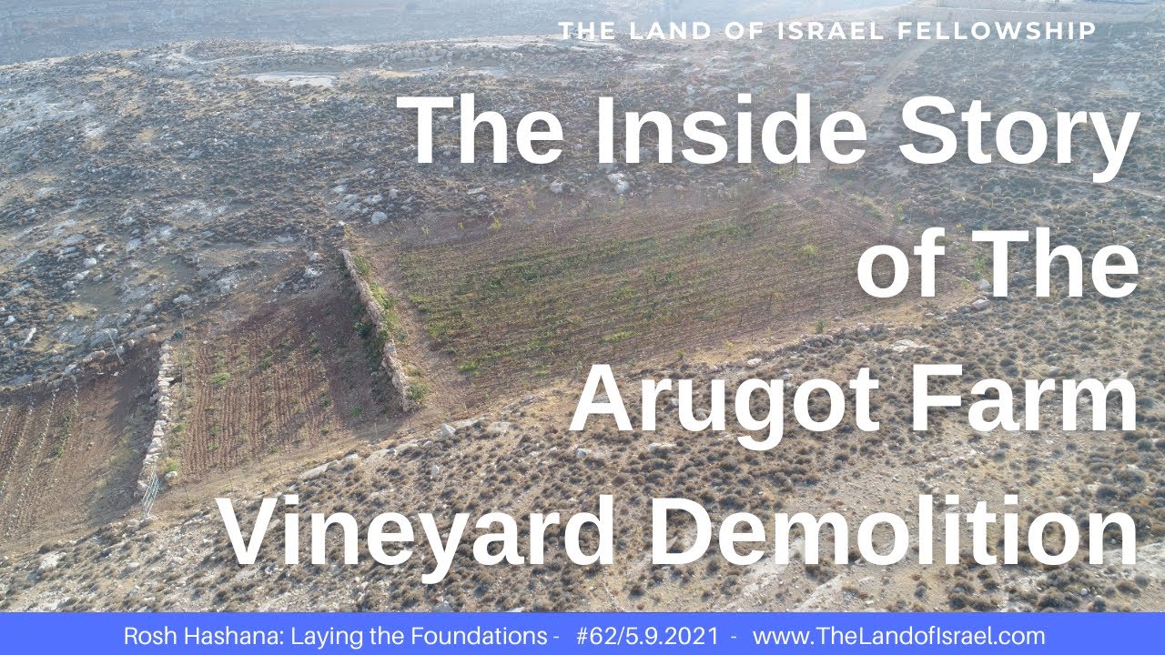 The Inside Story of The Arugot Farm Vineyard Demolition-Jeremy Gimpel: The Land of Israel Fellowship
