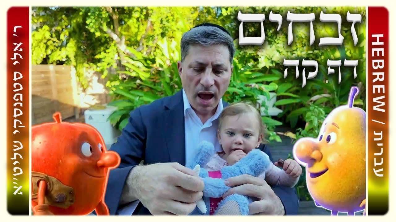 מרכז דף יומי - זבחים דף קה. - ר' אלי סטפנסקי שליט"א