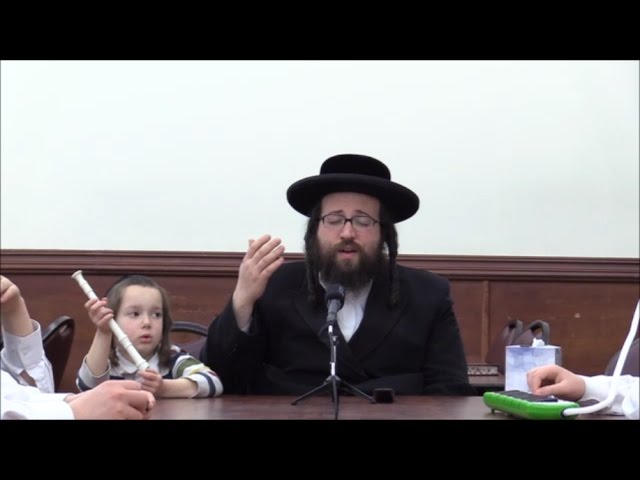 ר' יואל ראטה - ה' תשא תשע''ז - א שיינע לעבן - R' Yoel Roth