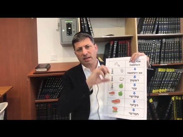 Daf Yomi Niddah Daf 71 by R’ Eli Stefansky