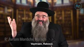 R’ Avrum Mordche Malach vayimaen 1