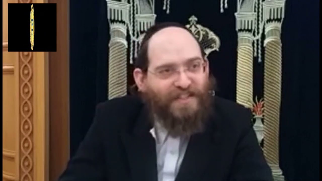 טעימה #447 - הרב שמעון שפיצר - בריסקער מצות