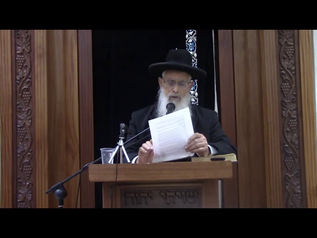 ברכת האירוסין - ברכת השבח או ברכת המצוות? - שיעור כללי מסכת כתובות - הרב יעקב אריאל