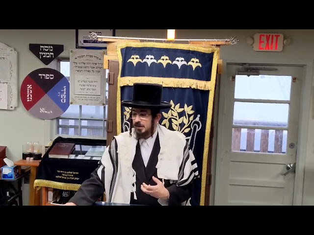 בקעה בקעה התמלאתי דינרי - Rav Benzion Sneh Yiddish Shiur at Scheiner's April 29