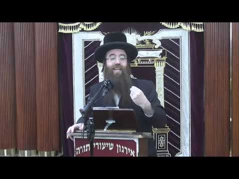 שאלות נחוצות בדיני ממונות -  ר' צבי זאב בערגער שליט"א