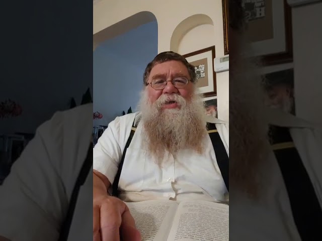 Practical Chasidus w Rabbi Chaim Dalfin - Maamar Choviv 1940 #11