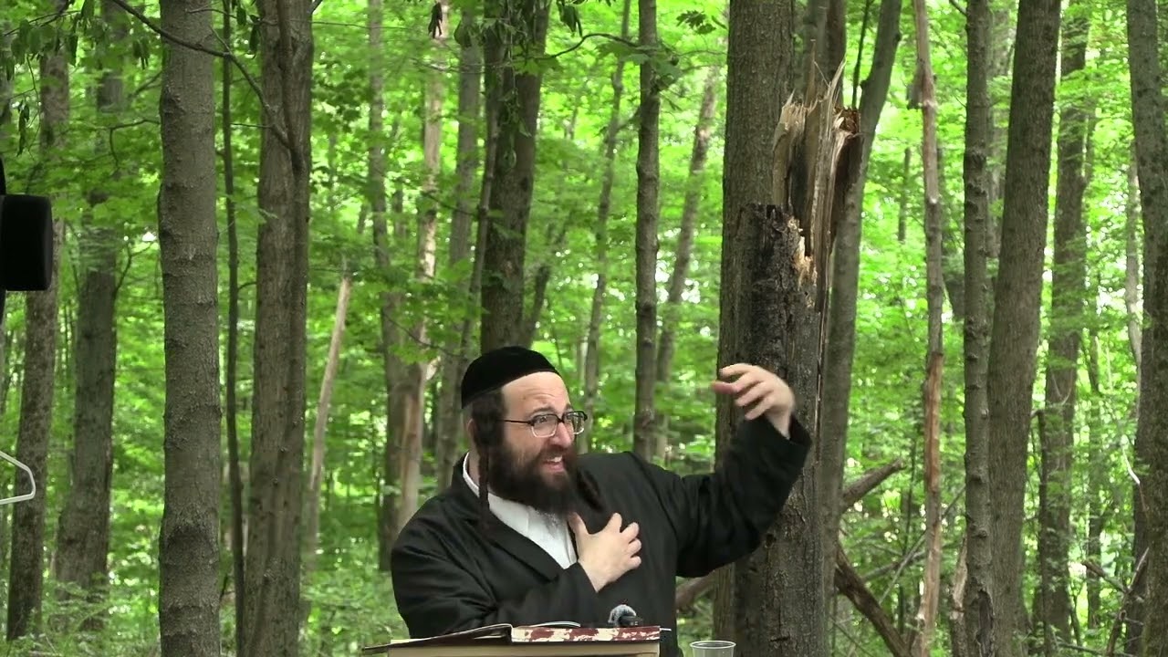 ר' יואל רוטה - שיעור ב ליק''מ ח''א סימן ב' - ב' פנחס תשפ''ד - R' Yoel Roth