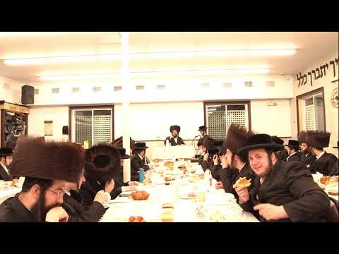 ר׳ יואל רוטה - שכל - מוצ''ש חקת בלק תשפ׳׳ג - R' Yoel Roth