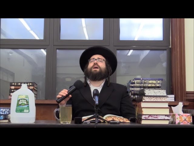 ר' יואל ראטה - ה' במדבר תשע''ז - די תורה היט אונז - R' Yoel Roth