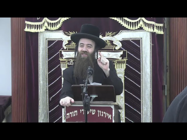פרנסה בהלכה - ר' צבי זאב בערגער שליט"א