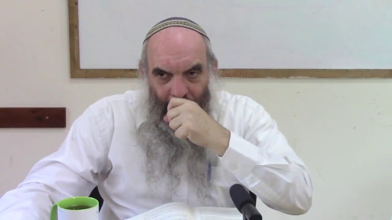 אורגניזם בעולמות - יש לך כנפי רוח - הרב יהושע שפירא