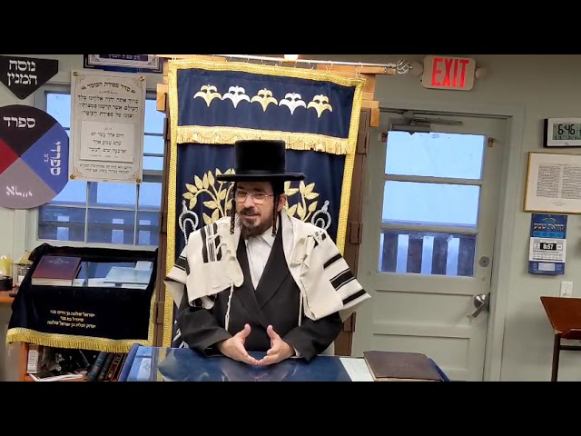איך היה נראה השוק כשמכר 'חיים'? Daily Yiddish Shiur by Rav Benzion Sneh at Scheiner's April 13
