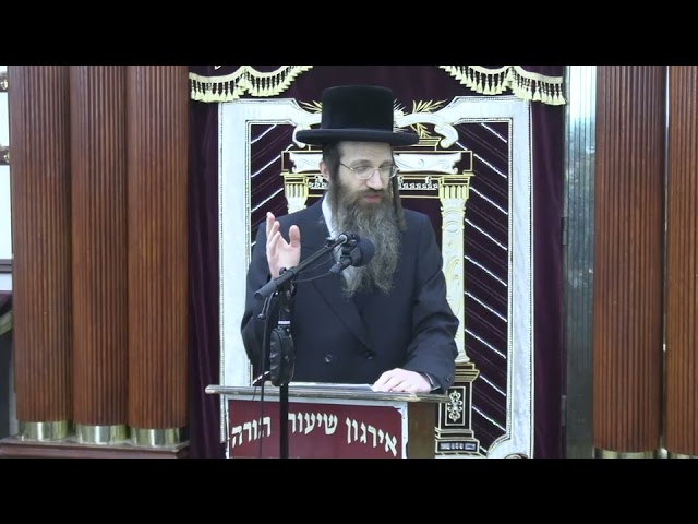 הלכות ייו נסך למעשה - ר' אברהם צבי פריעדמאן שליט"א