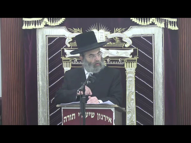 מדבר שקר תרחק בהלכה - ר' שמשון ציננער שליט"א
