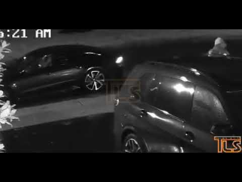 Thieves in Toms River - TLS