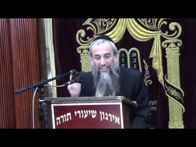 Shlag On The Sukkah -  Rabbi Yakov Zev Smith