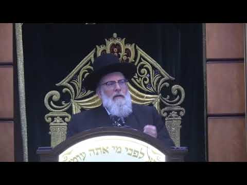 Introduction: Harav Moshe Tuvia Lieff שליט"א "Our Elul Response To The Summer Tragedies ר"ל