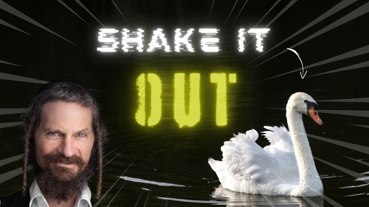 You have to shake out your stuff