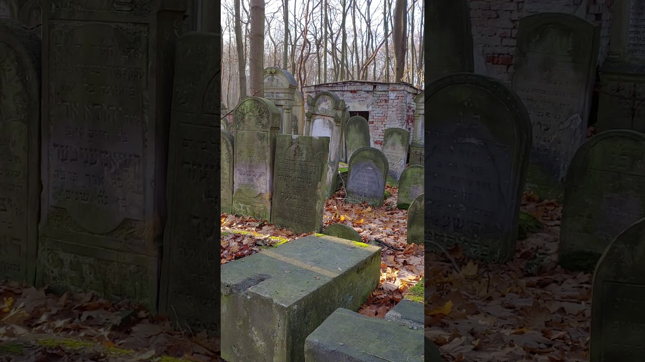 Warsaw Tour w R' Dalfin - Warsaw cemetery - Alexsandar student