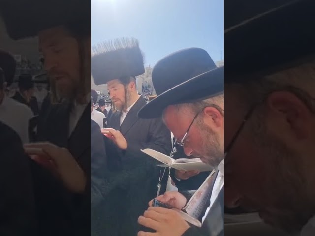 Bitchkov Rebbe Davens At The Kosel Chol Hamoed Pesach 5785