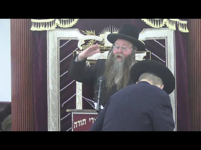 דיני כותב ומוחק בשבת - ר' שלמה לייזער שליט"א