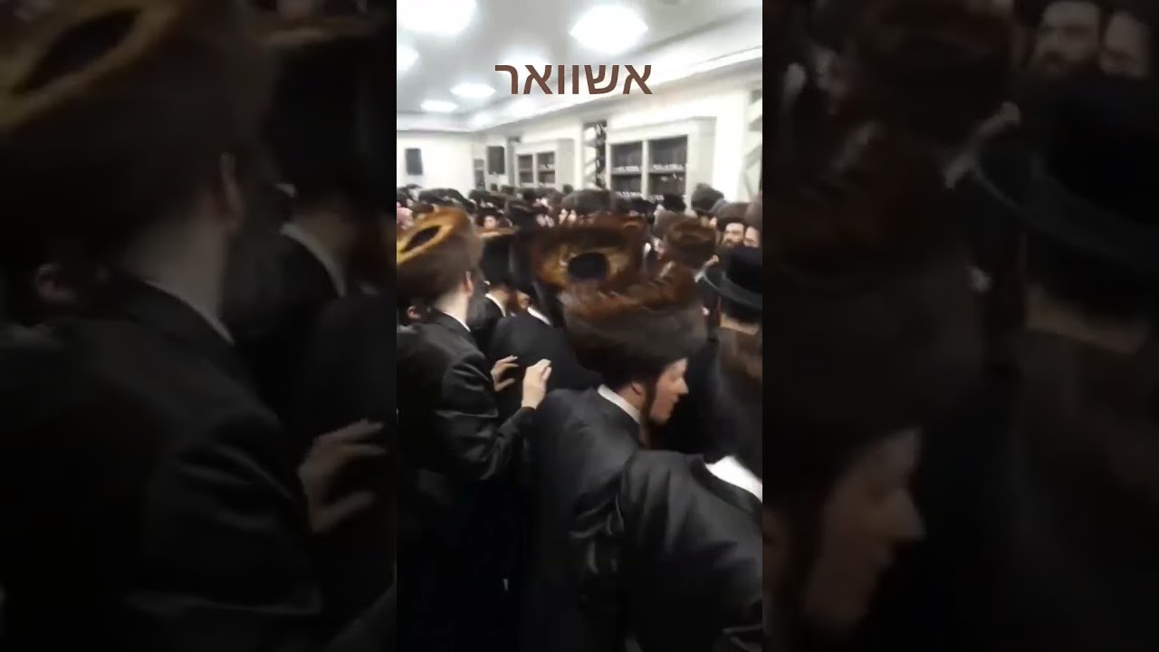 תורה ה תמימה