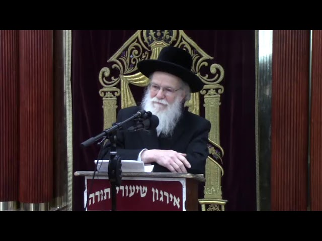 שיעור כללי בהלכות ספירת העומר - ר' צבי היילפרין שליט"א