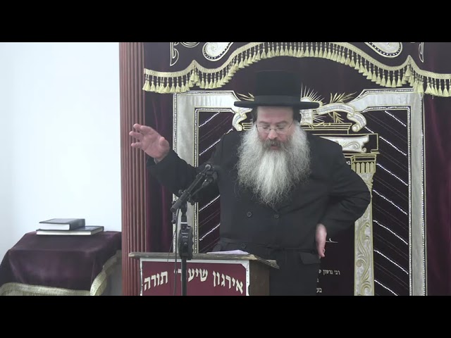 דיני ניחום אבלים וביקור חולים - ר' בנימין ברייער שליט"א