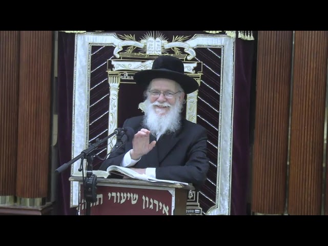 דיני כיבוס בשבת - ר' צבי היילפרין שליט"א