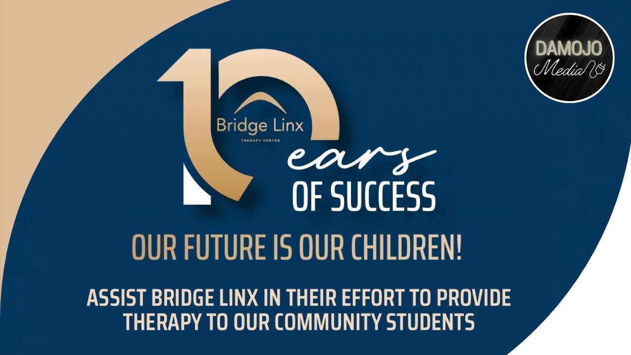 Bridge Linx Campaign Video