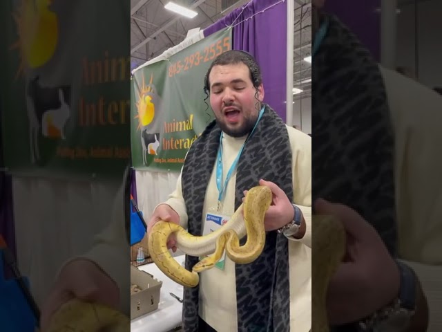 At the camp show with I real snake 🐍😑🤭