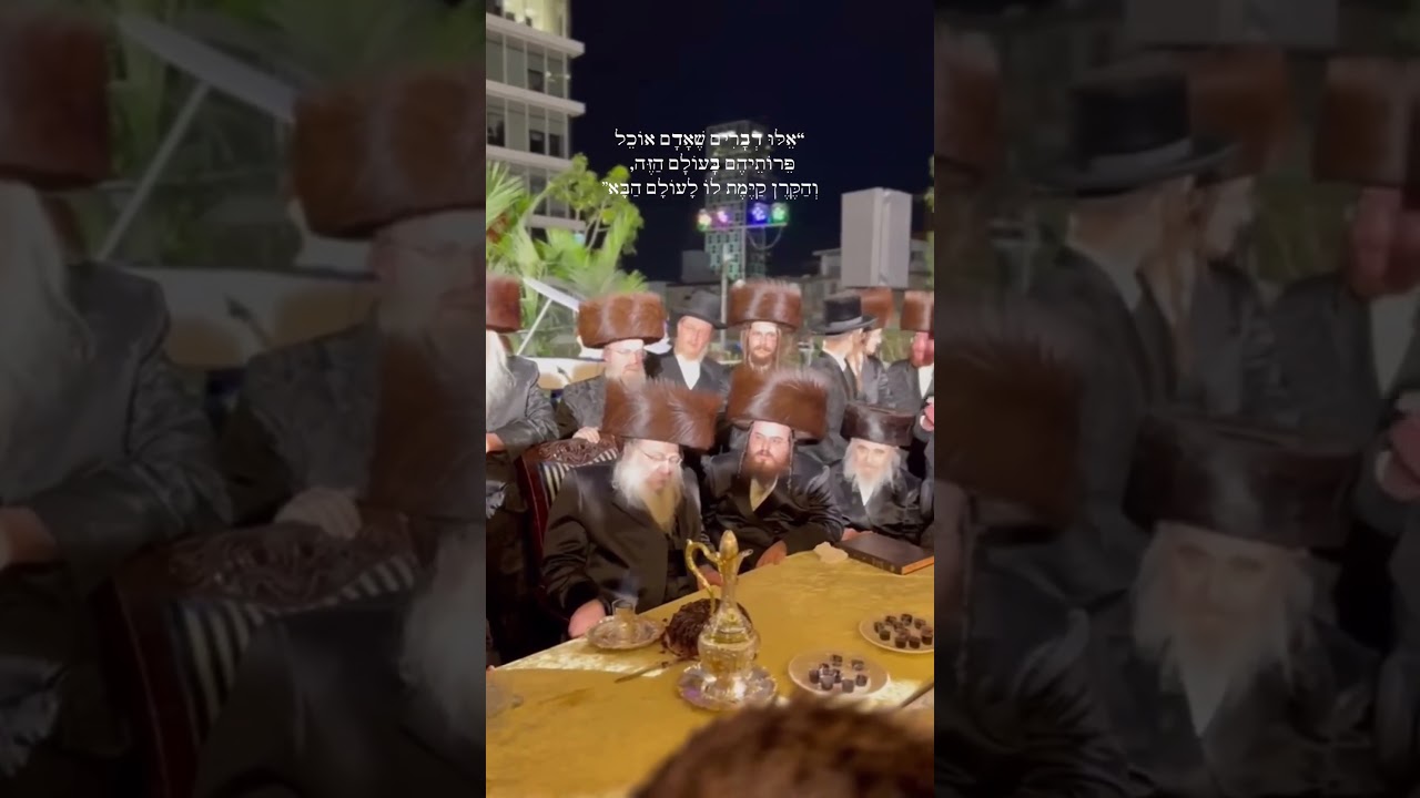 מתוך הכנסת ספר תורה בהשתתפות כ"ק האדמו"ר מנדבורנה🤍