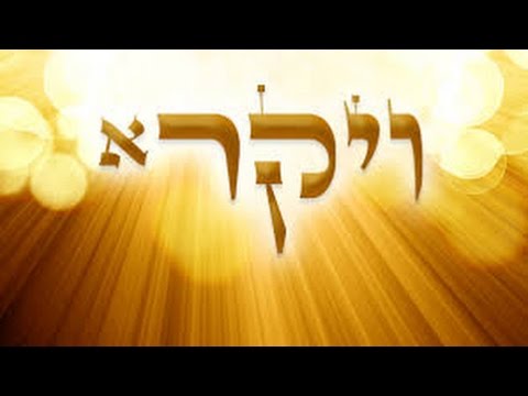 Harry's Video Blog - King James: Parshat VaYikra