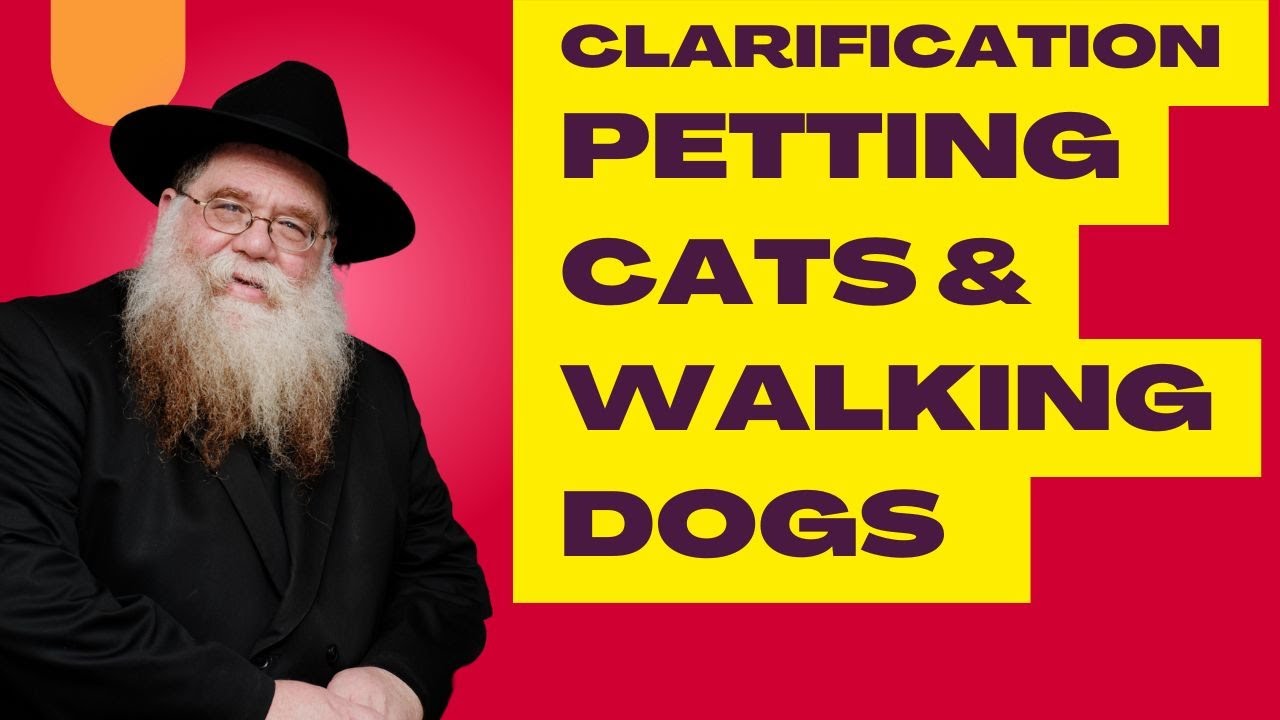Clarification re petting cats & walking dogs - Didn't mean to insult anyone - Rabbi Chaim Dalfin