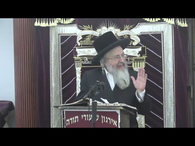 דיני שכר שבת - ר' אהרן זילבערשטיין שליט"א