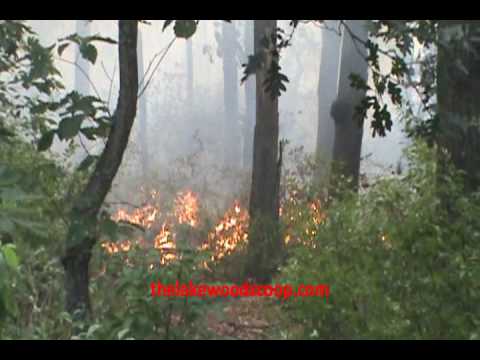 Brush Fire Vermont Chestnut NJ Forest Fire LFD Battling