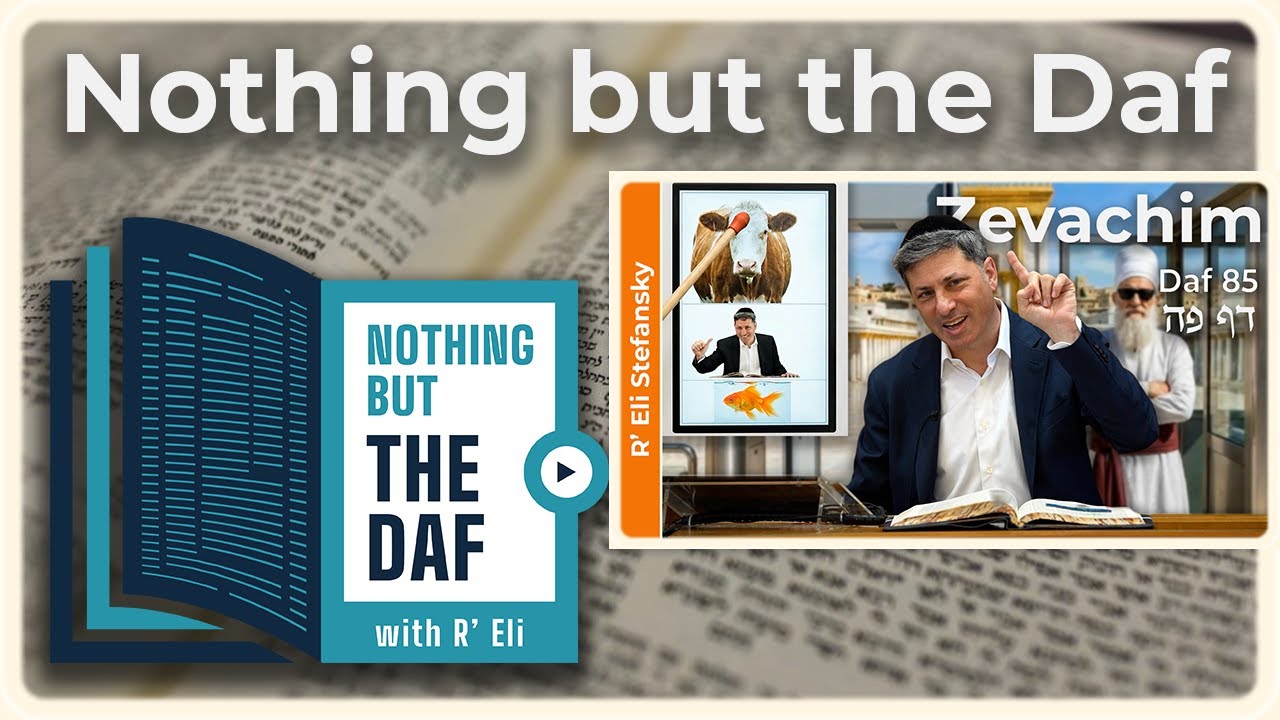 CHAZARAH - Zevachim Daf 85 | "Nothing but the Daf" with R' Eli Stefansky