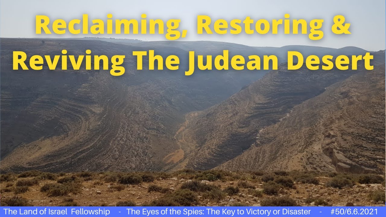 Reclaiming, Restoring & Reviving The Judean Desert - Jeremy Gimpel: The Land of Israel Fellowship