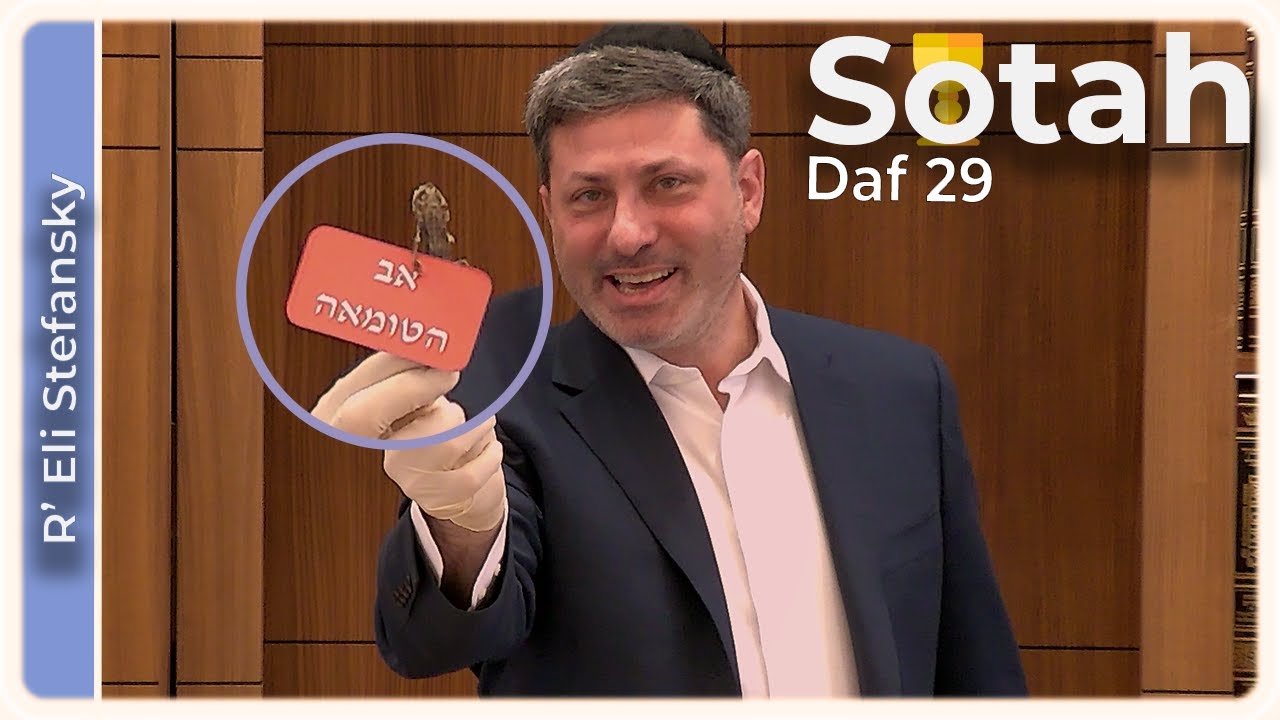 Daf Yomi Sotah Daf 29 by R’ Eli Stefansky