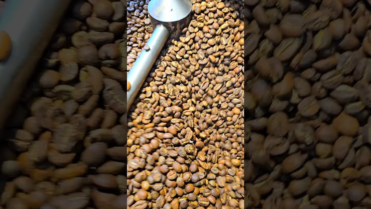 Ahhhhh! Smell the coffee! Fresh roasted coffee beans at French Press Kosher for  Passover!