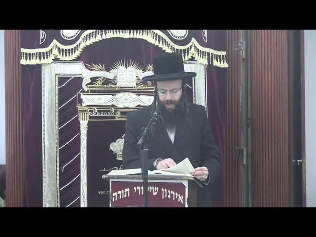 דיני בית הנמצא שם משרתת לעניני יין נסך, יחוד, וכו׳ - ר' משה פנחס אייכלער שליט"א