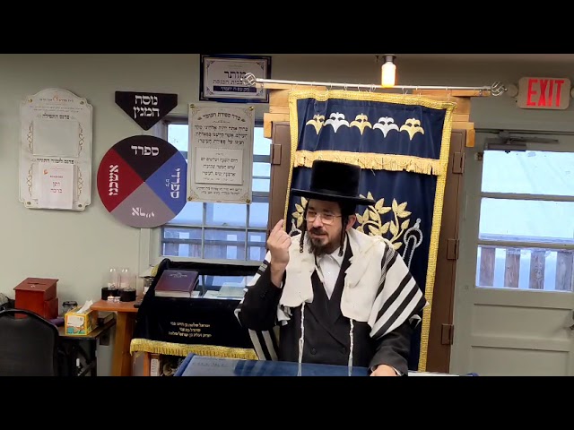 תתחבר ליום דווקא - Rav Benzion Sneh Daily Yiddish Shiur at Scheiner's May 11